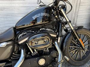 SPORTSTER IRON 883 