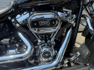 SOFTAIL FAT BOB 114 