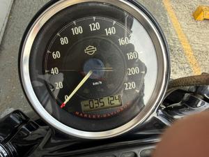 SPORTSTER FORTY-EIGHT 