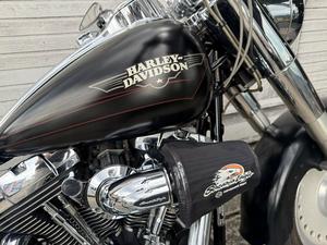 SOFTAIL FAT BOY 