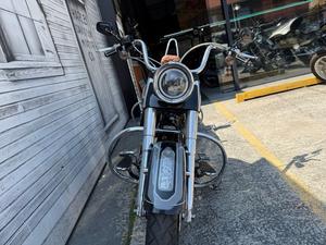 SOFTAIL DELUXE 