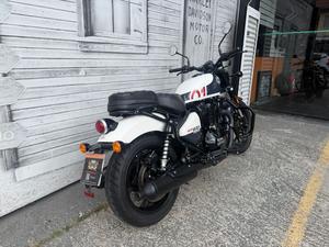 SHOTGUN 650 STENCIL WHITE 