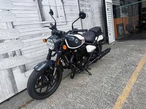 SHOTGUN 650 STENCIL WHITE 