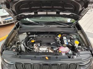 RENEGADE 1.3 T270 TURBO