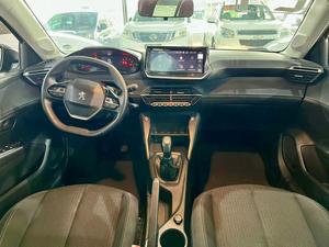 208 1.0 FIREFLY LIKE