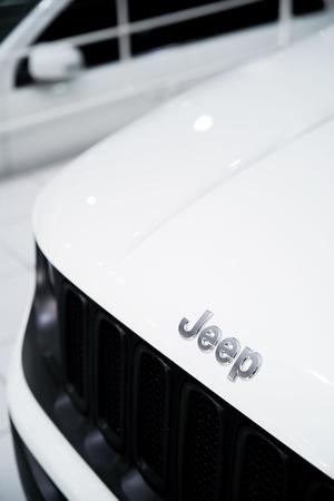 RENEGADE 1.8 16V SPORT