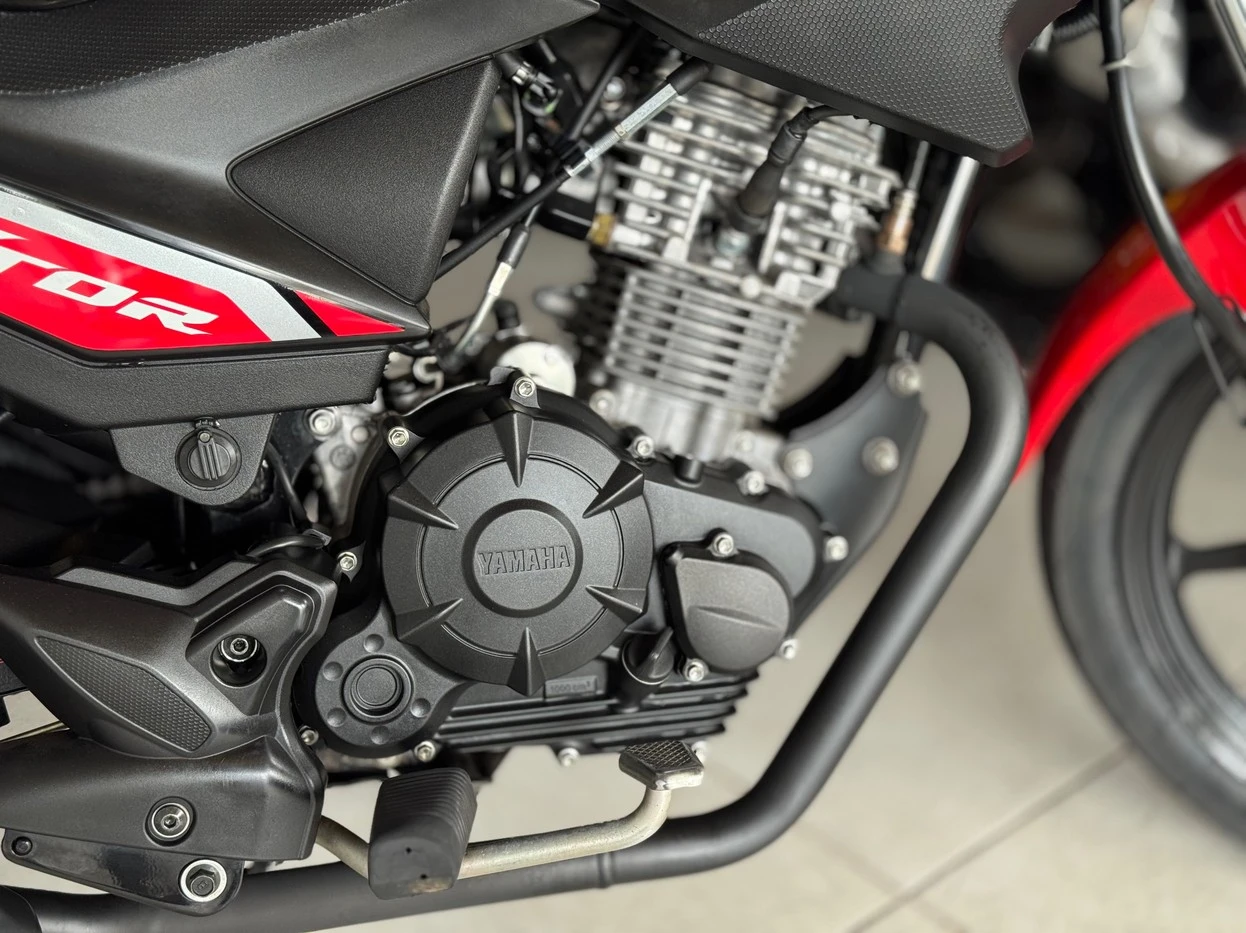 YAMAHA FACTOR YBR 150 ED