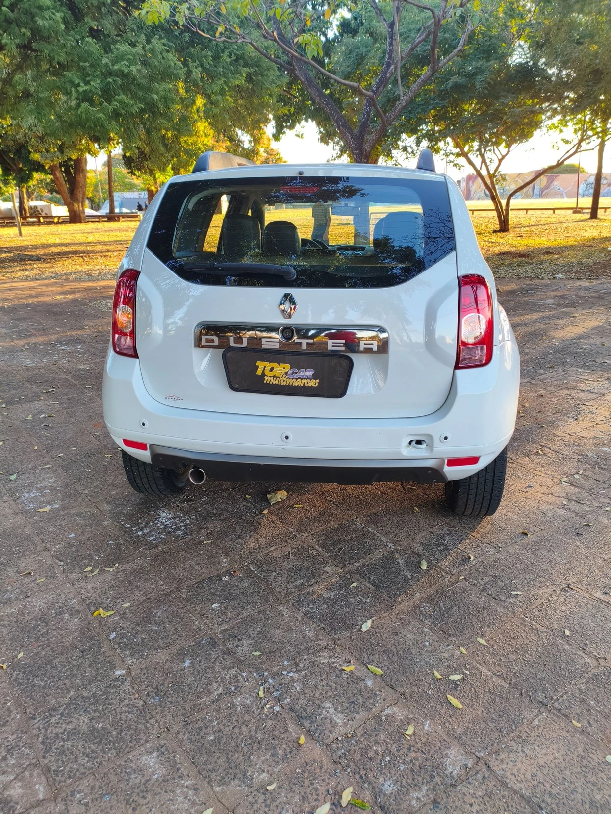 RENAULT DUSTER