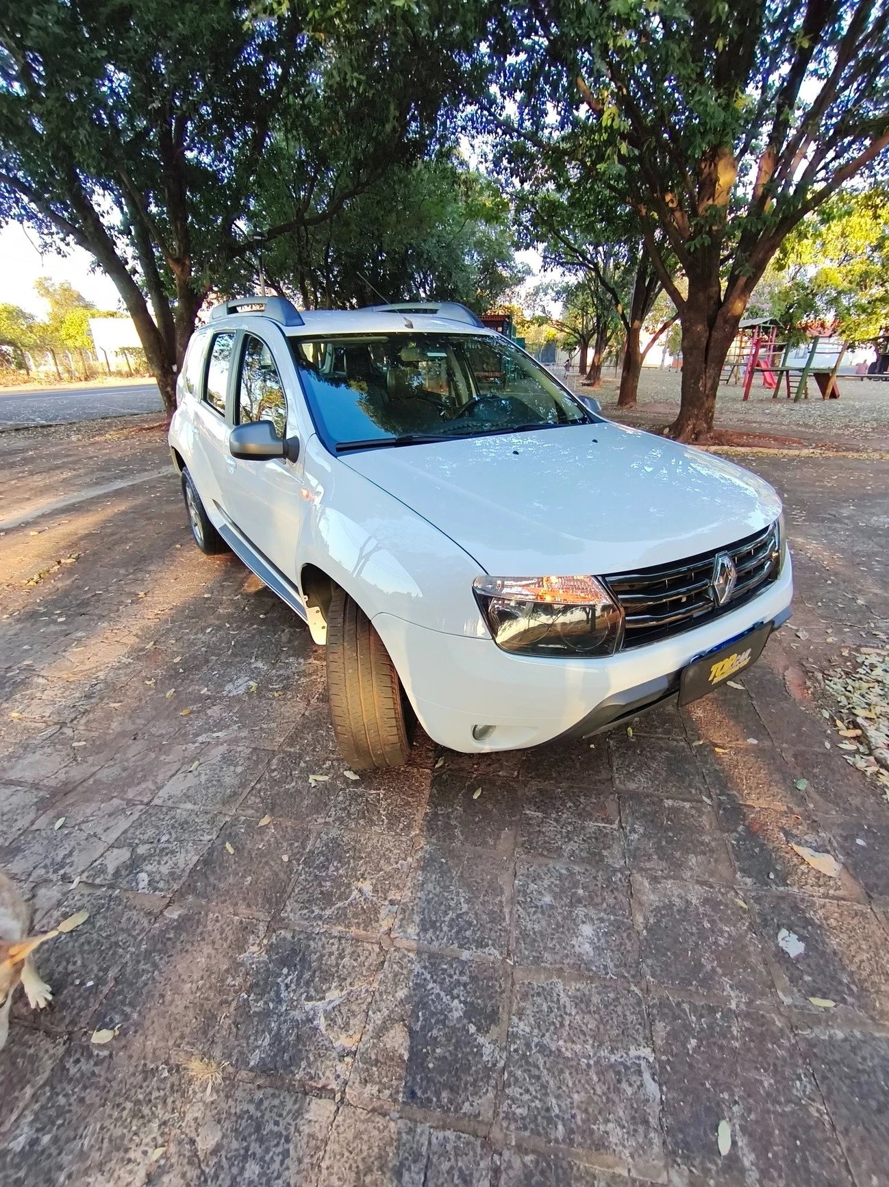 RENAULT DUSTER