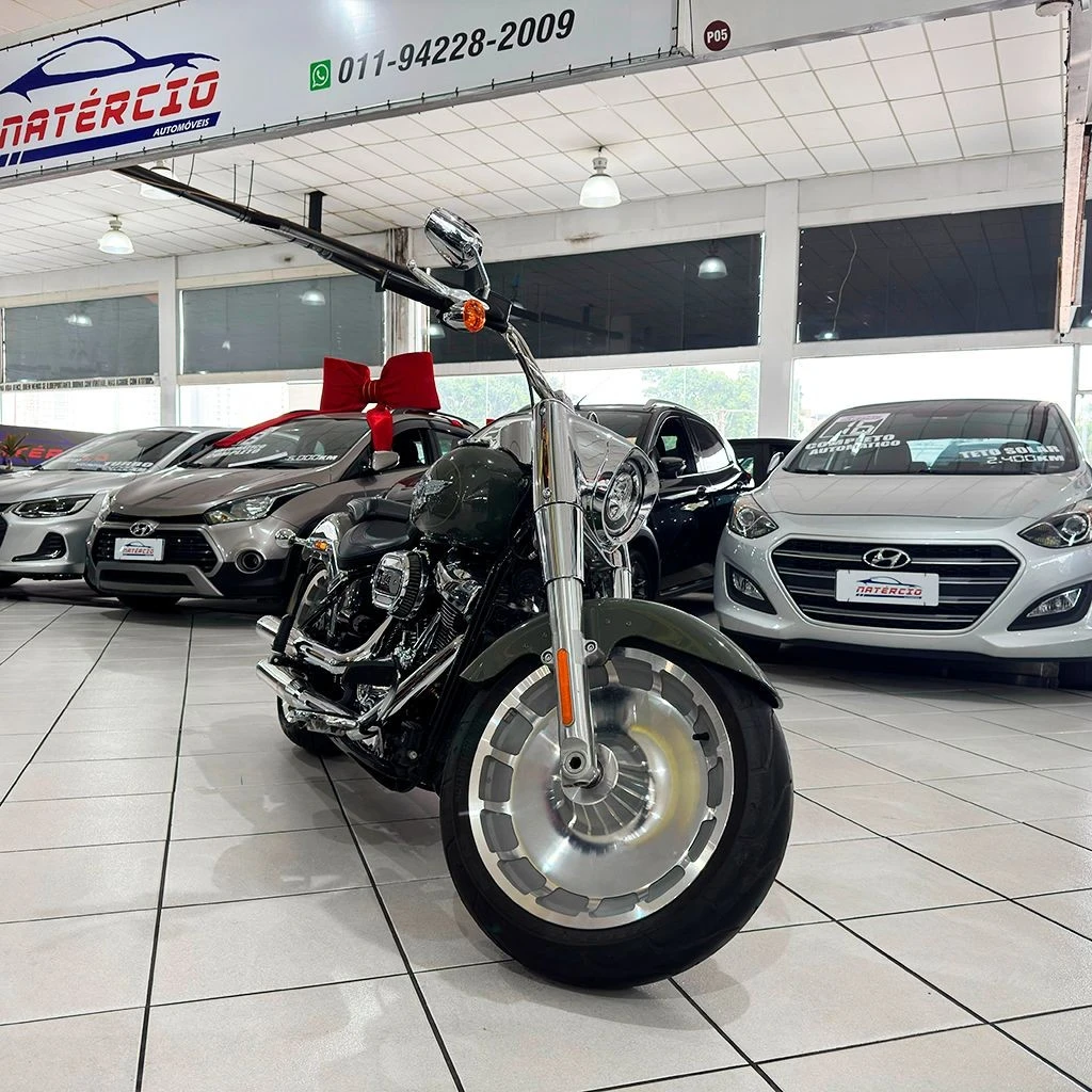 HARLEY-DAVIDSON SOFTAIL FAT BOY 114
