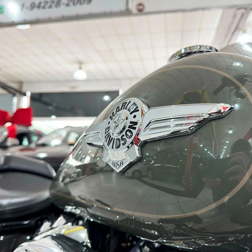 HARLEY-DAVIDSON SOFTAIL FAT BOY 114