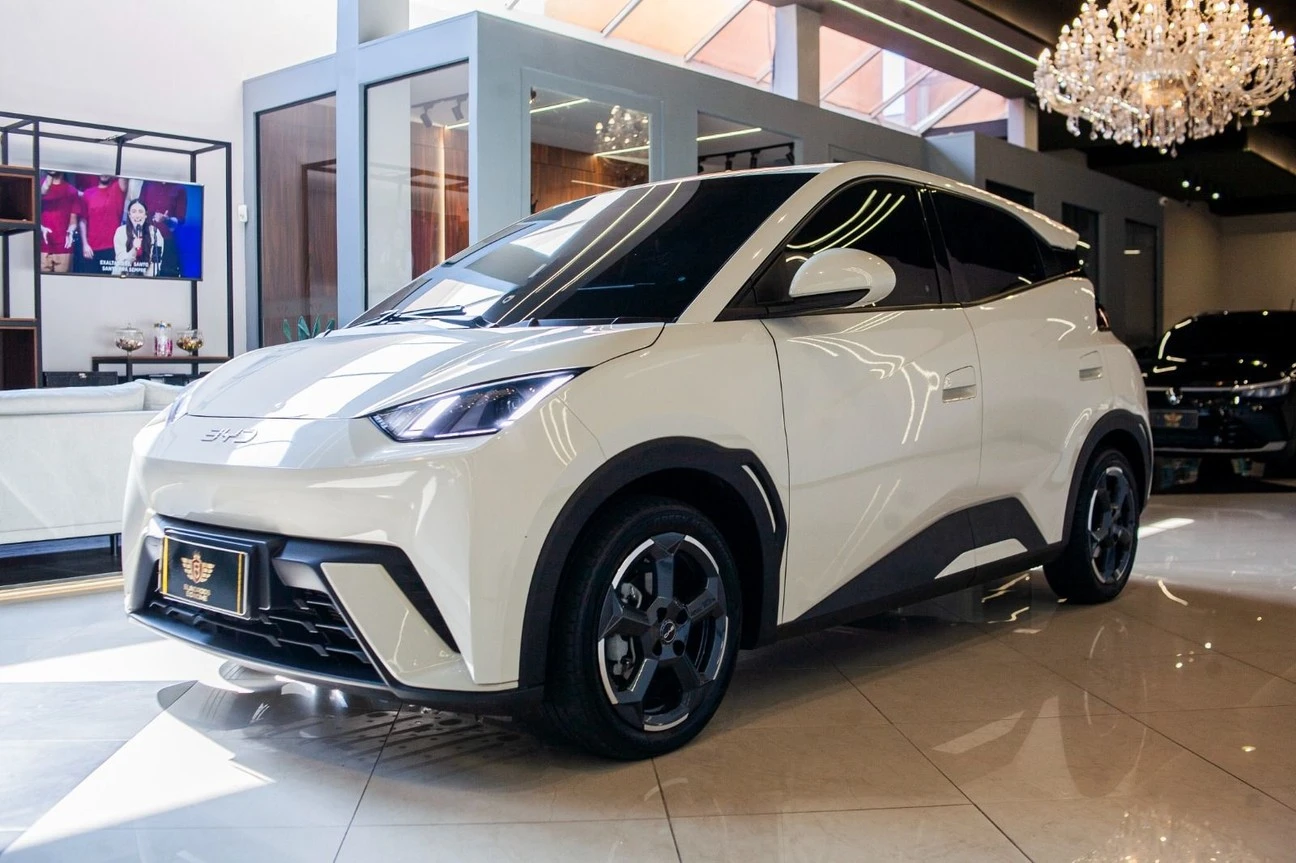 BYD DOLPHIN MINI