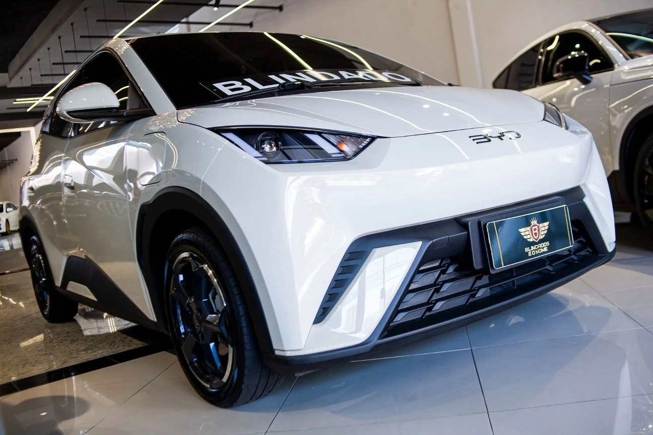 BYD DOLPHIN MINI