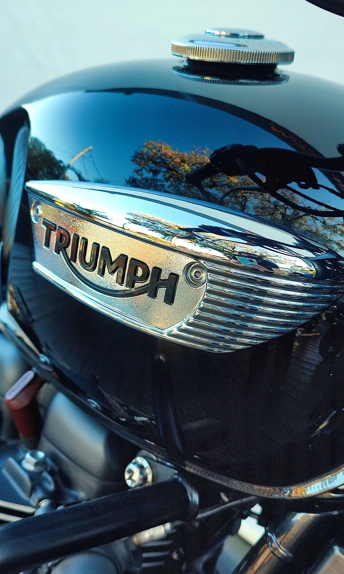 TRIUMPH BONNEVILLE T100 BLACK 900