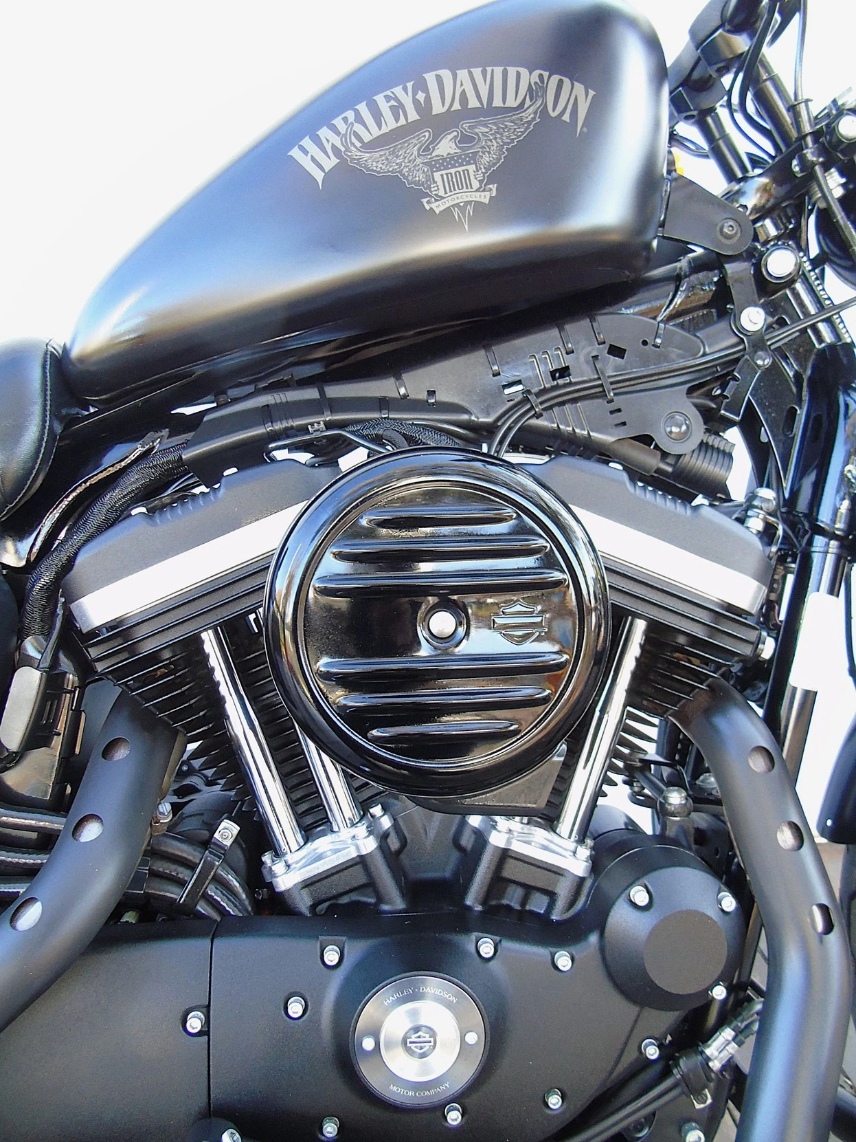 HARLEY-DAVIDSON SPORTSTER XL 883 N IRON