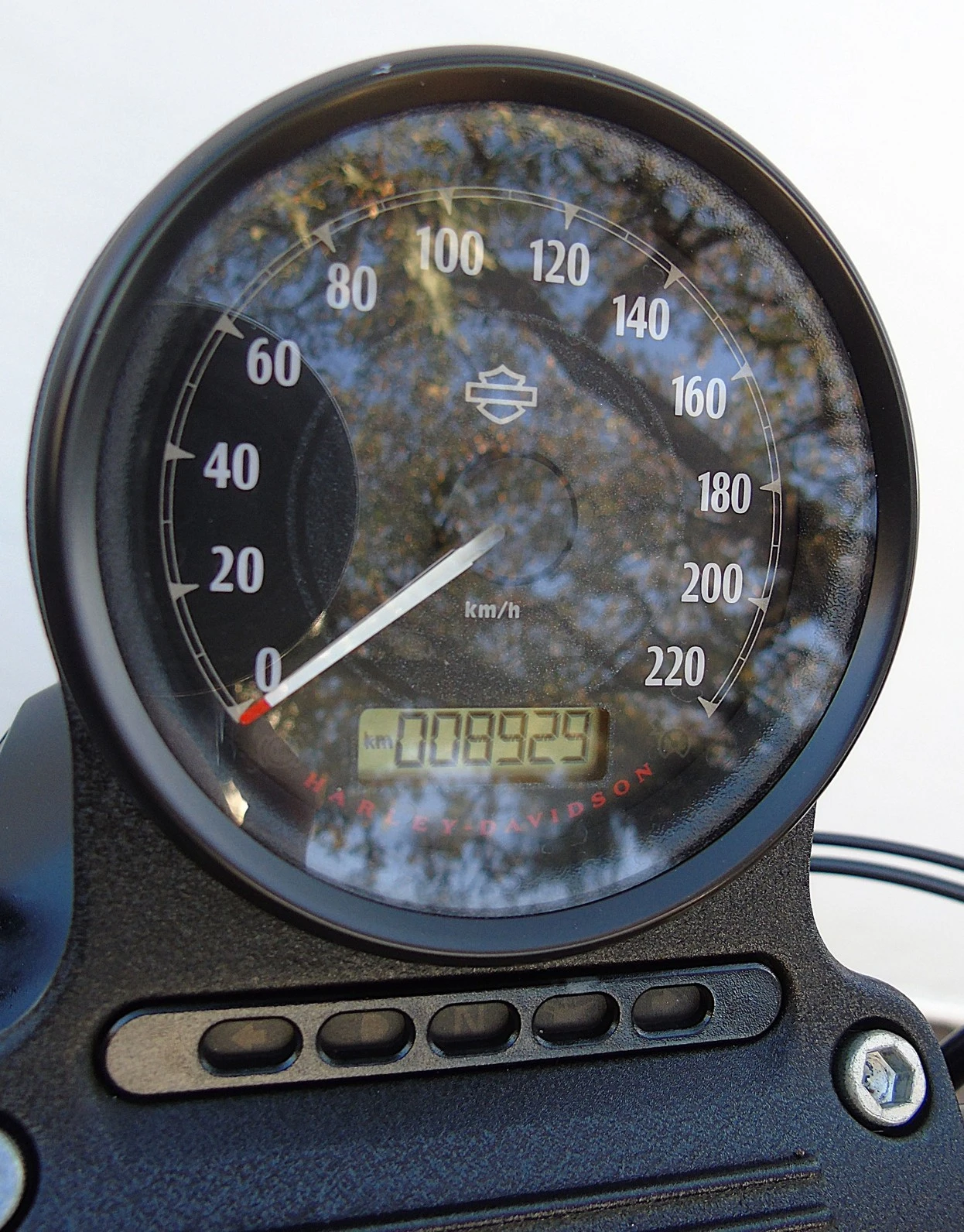 HARLEY-DAVIDSON SPORTSTER XL 883 N IRON
