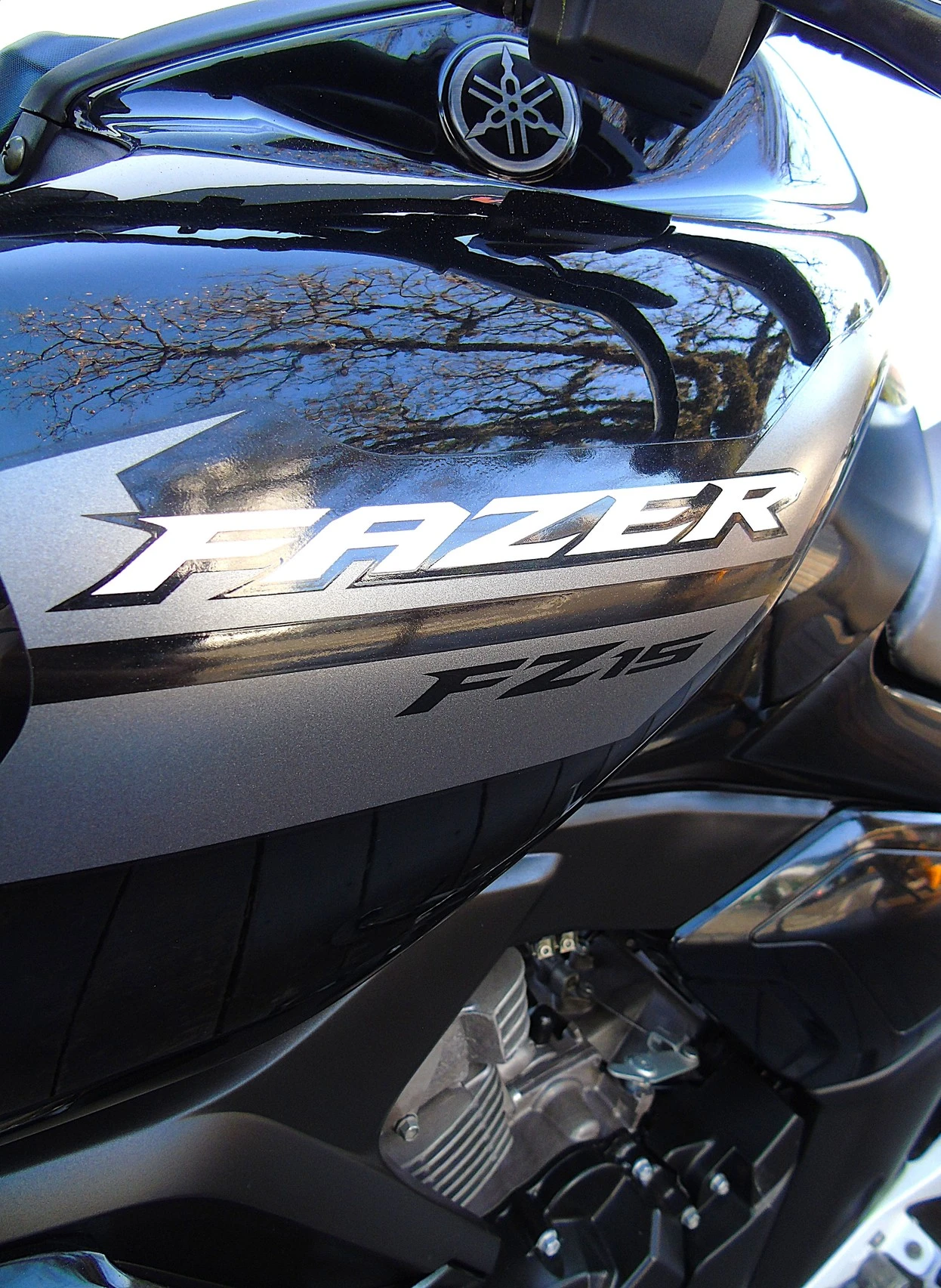 YAMAHA FZ15 FAZER ABS