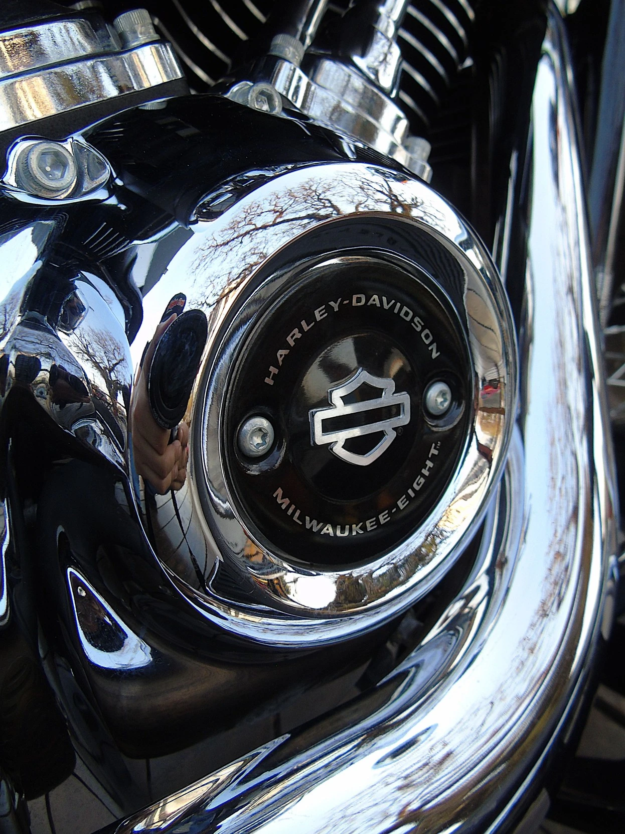 HARLEY-DAVIDSON SOFTAIL DELUXE