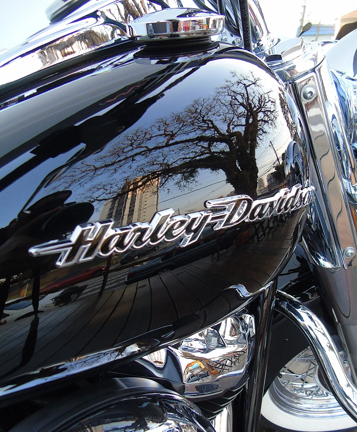 HARLEY-DAVIDSON SOFTAIL DELUXE