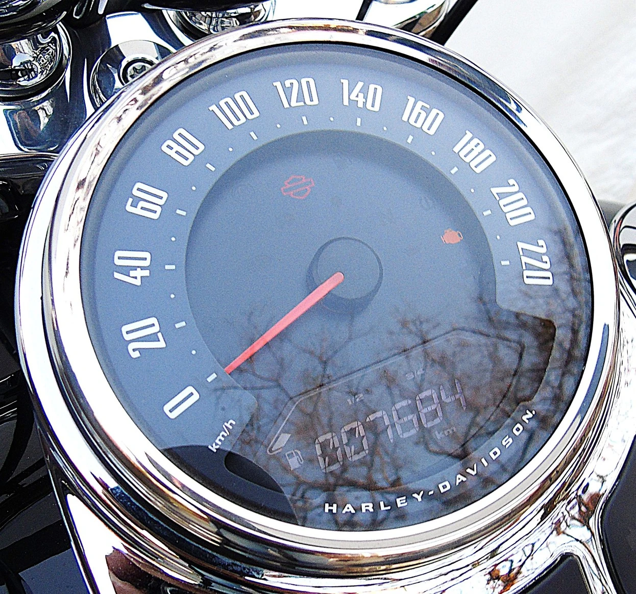 HARLEY-DAVIDSON SOFTAIL DELUXE