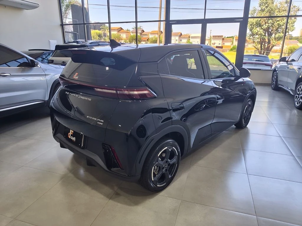 BYD DOLPHIN