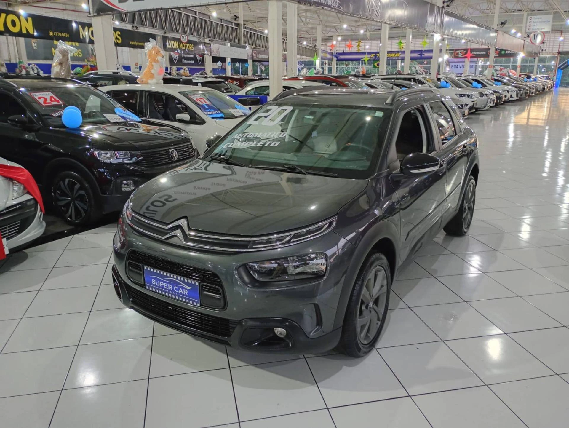 C4 CACTUS