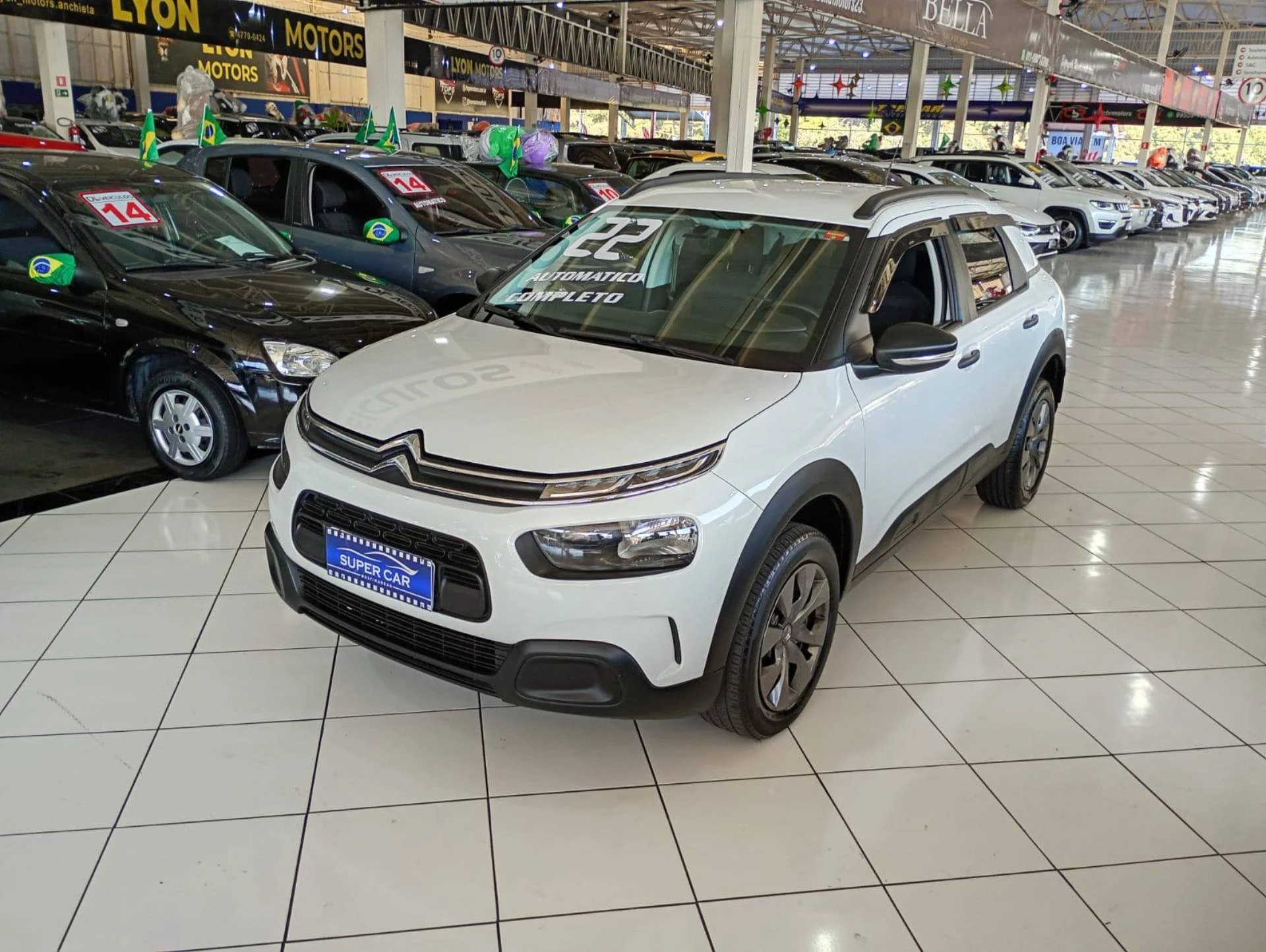 C4 CACTUS