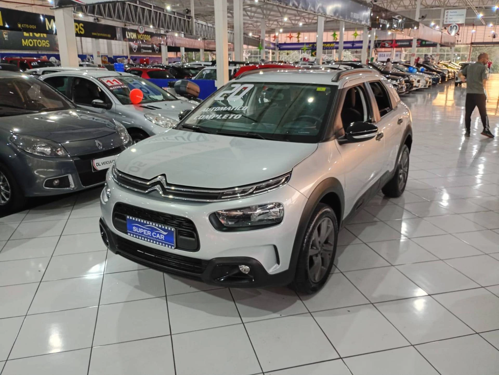 C4 CACTUS