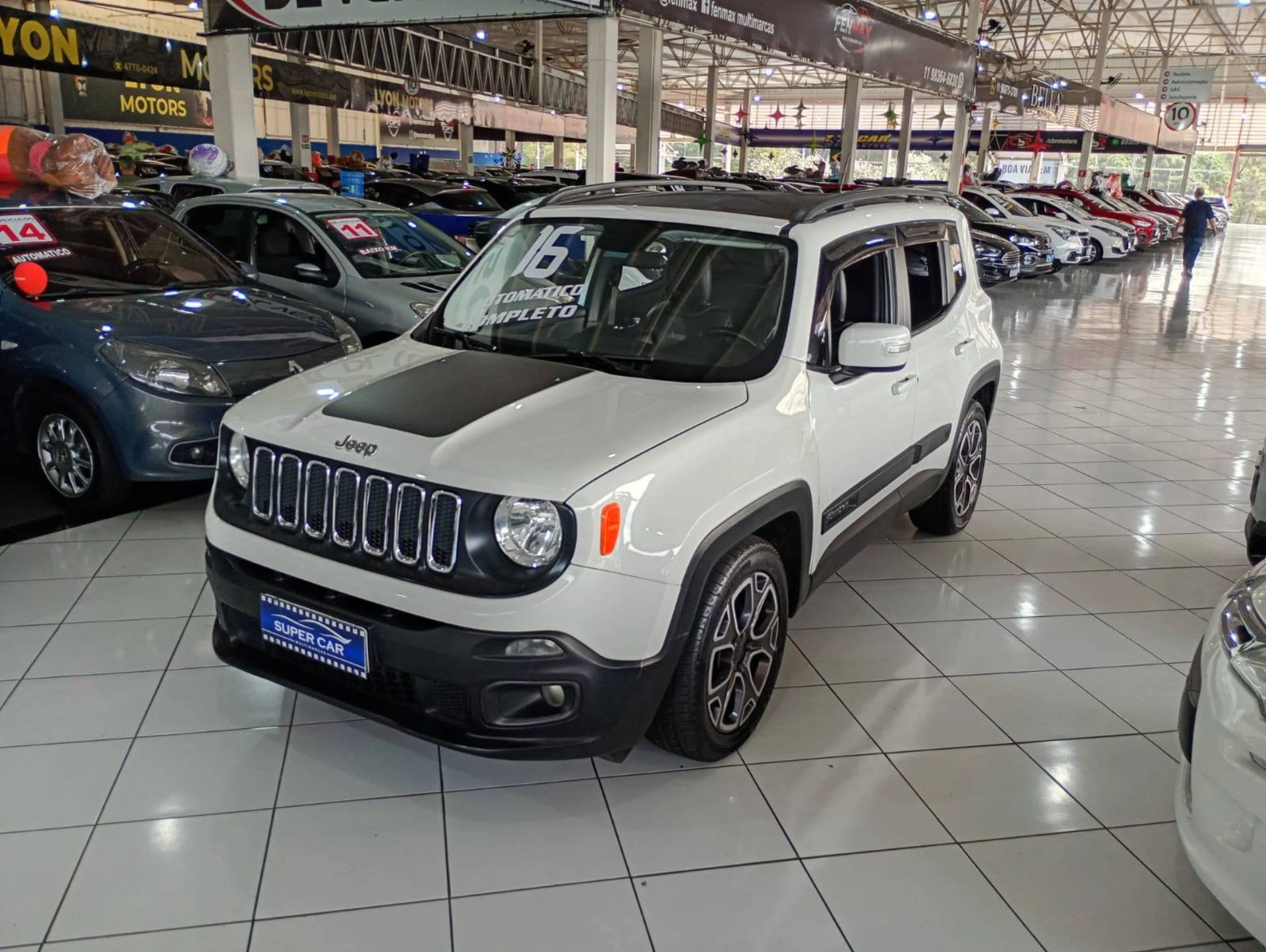 RENEGADE