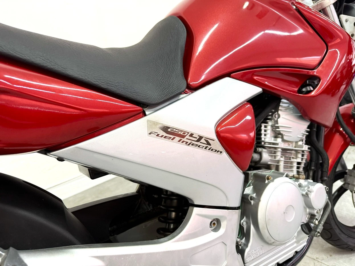 YAMAHA FAZER YS 250