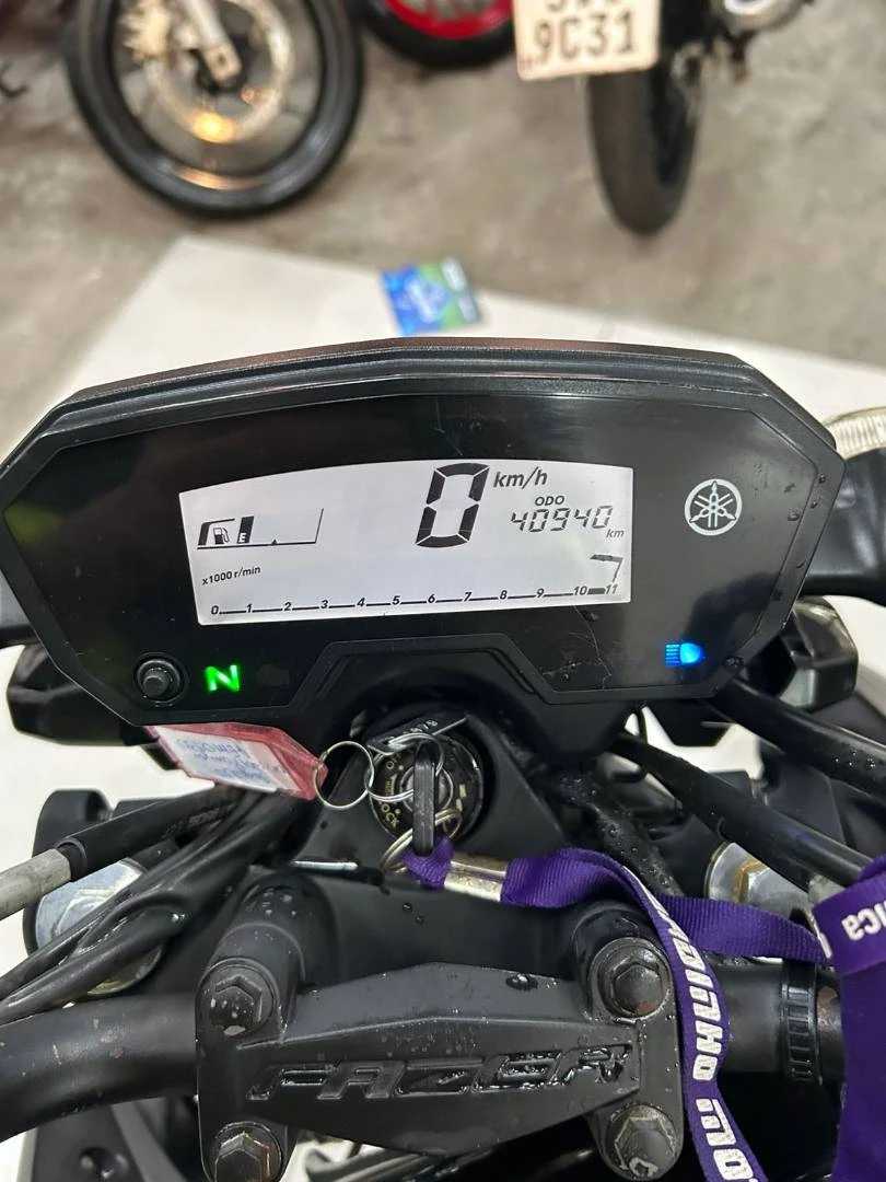 YAMAHA FAZER 250 BLUEFLEX