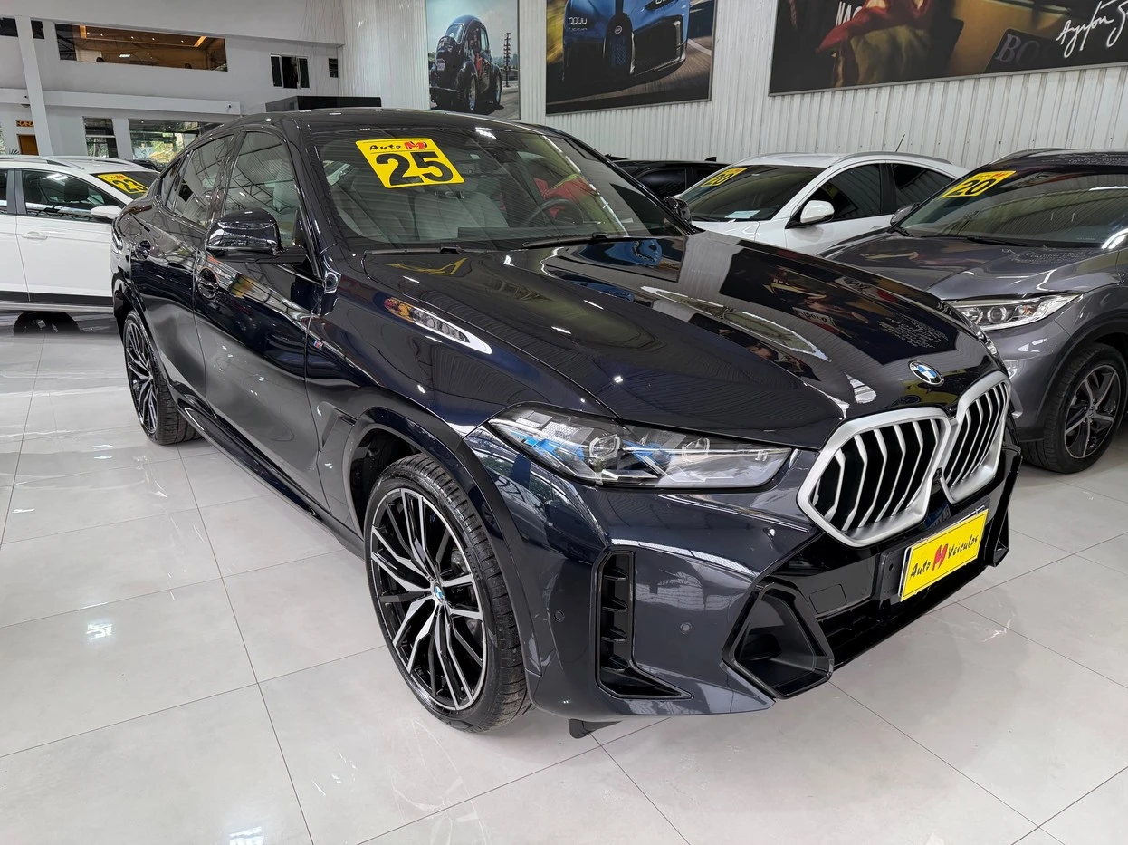 BMW X6
