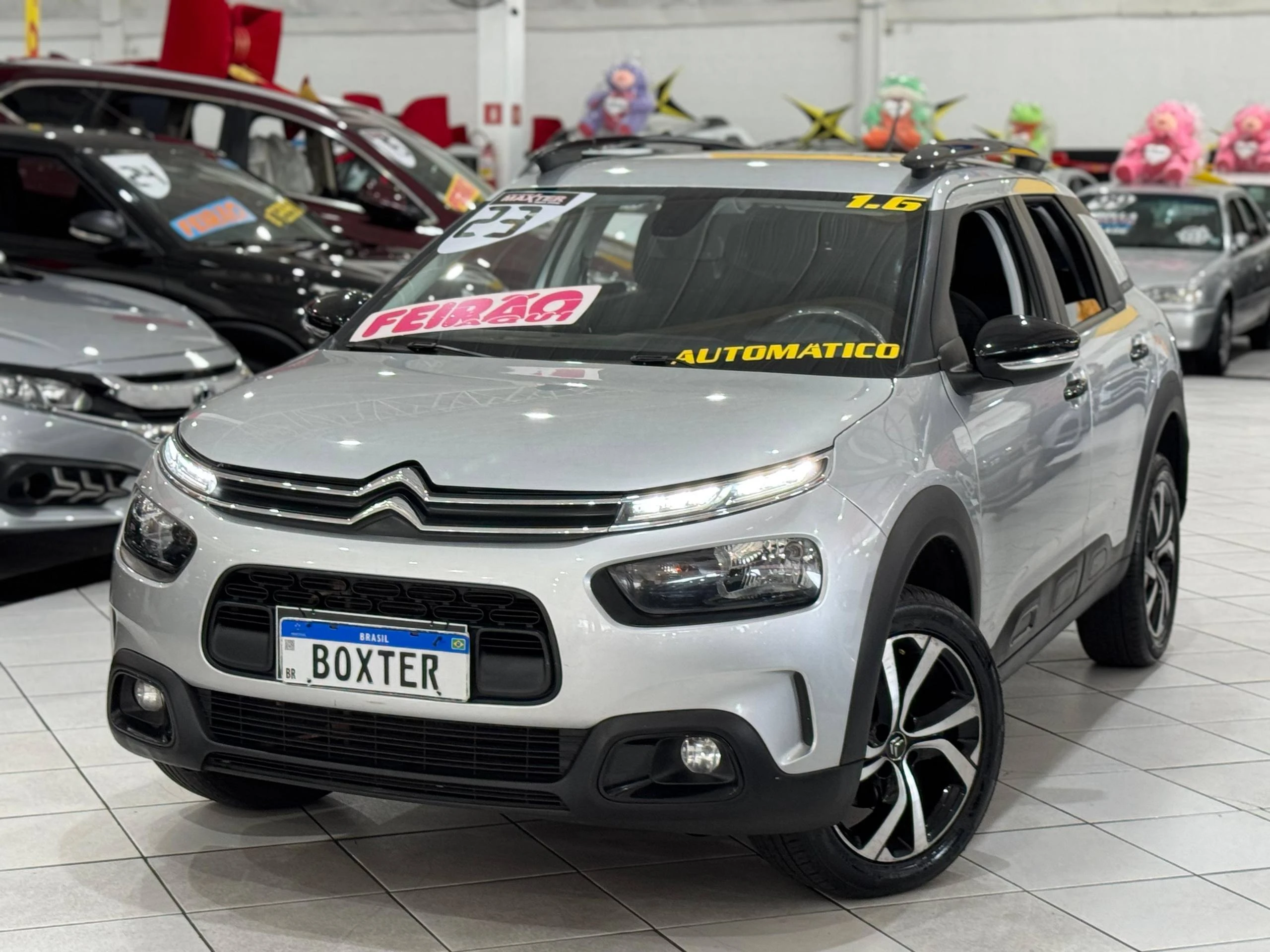 C4 CACTUS