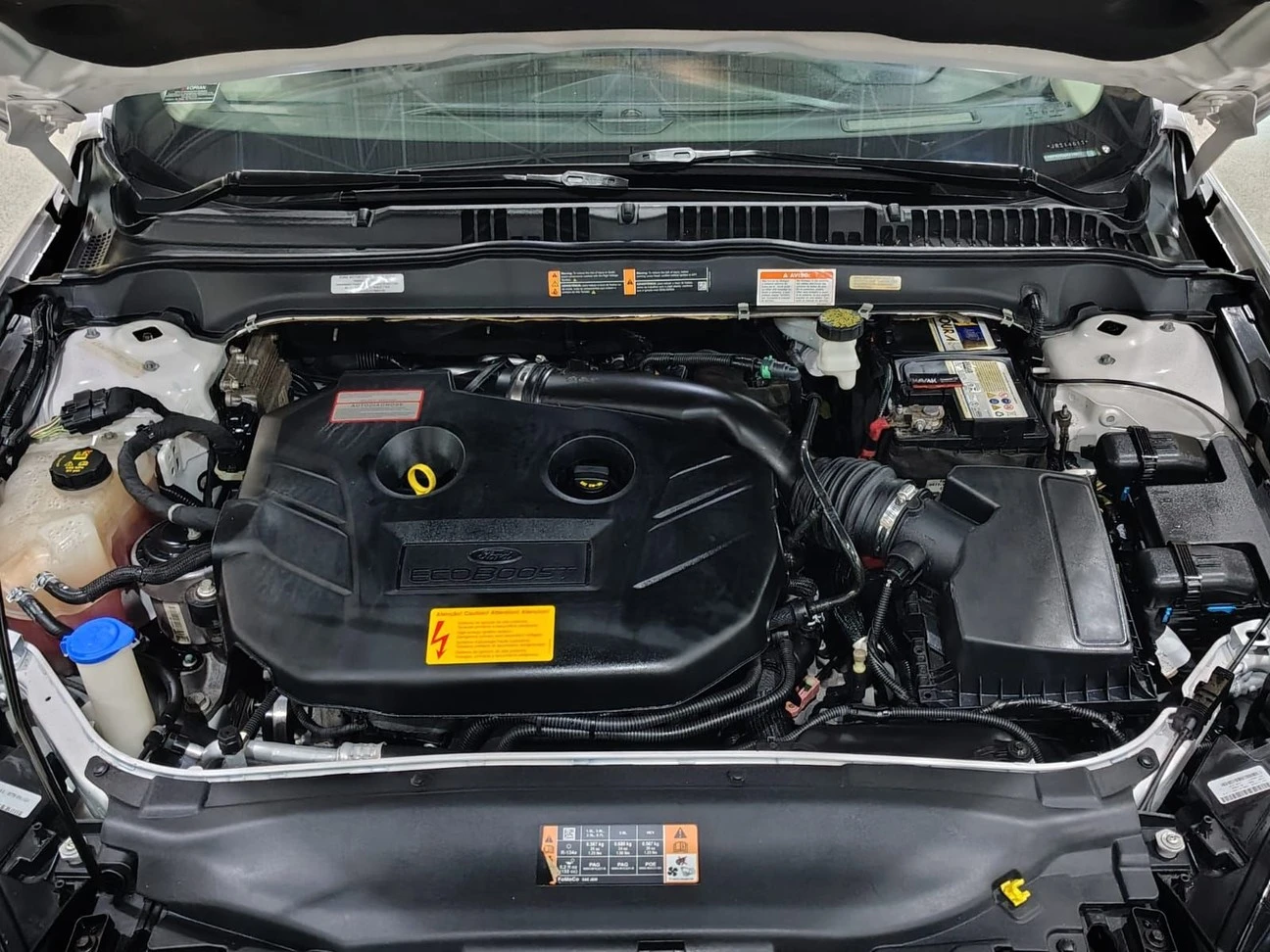 FORD FUSION