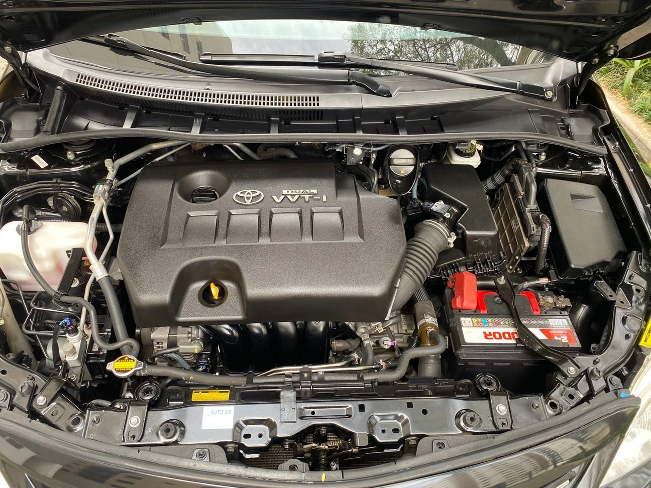 TOYOTA COROLLA