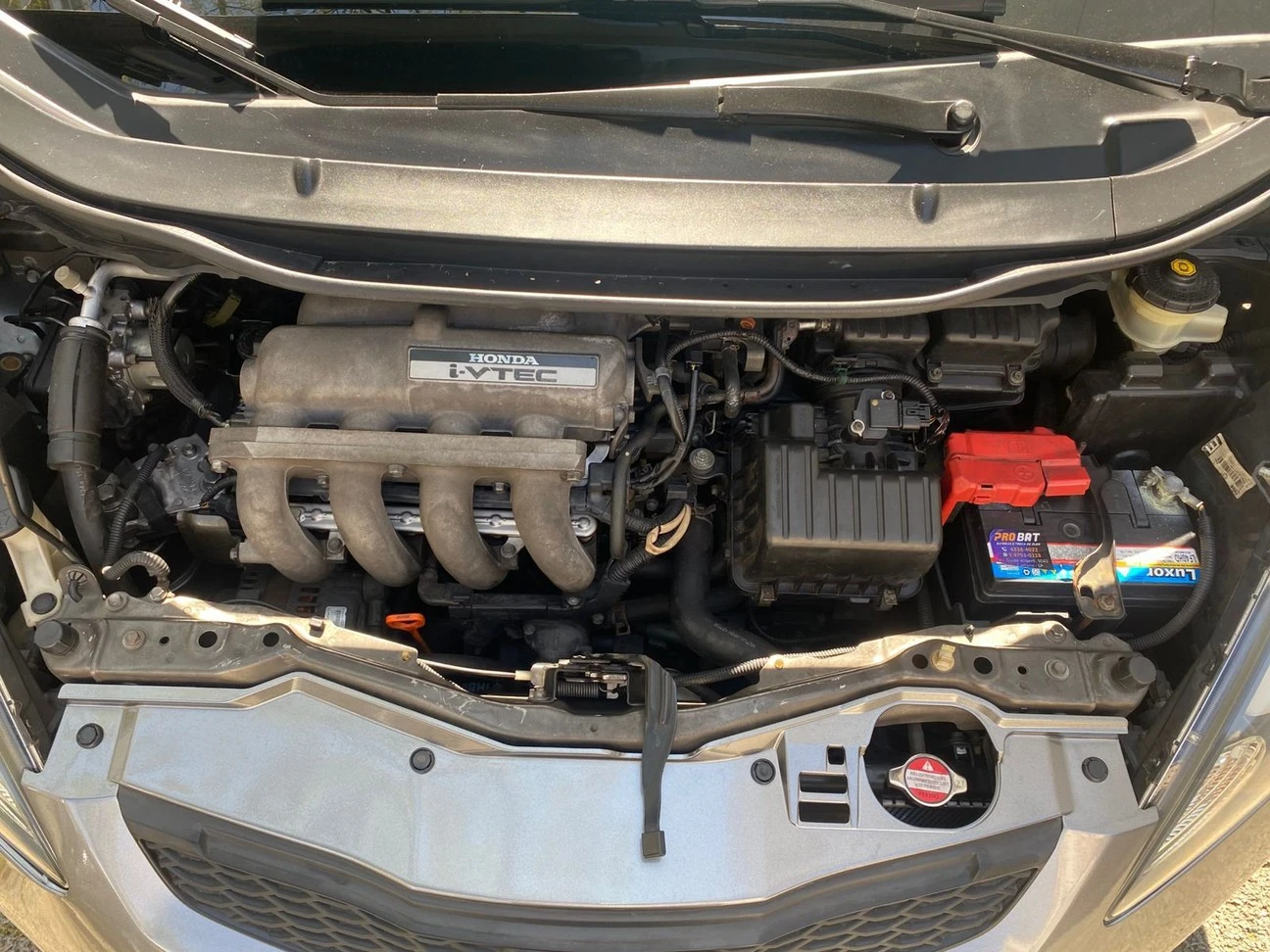 HONDA FIT