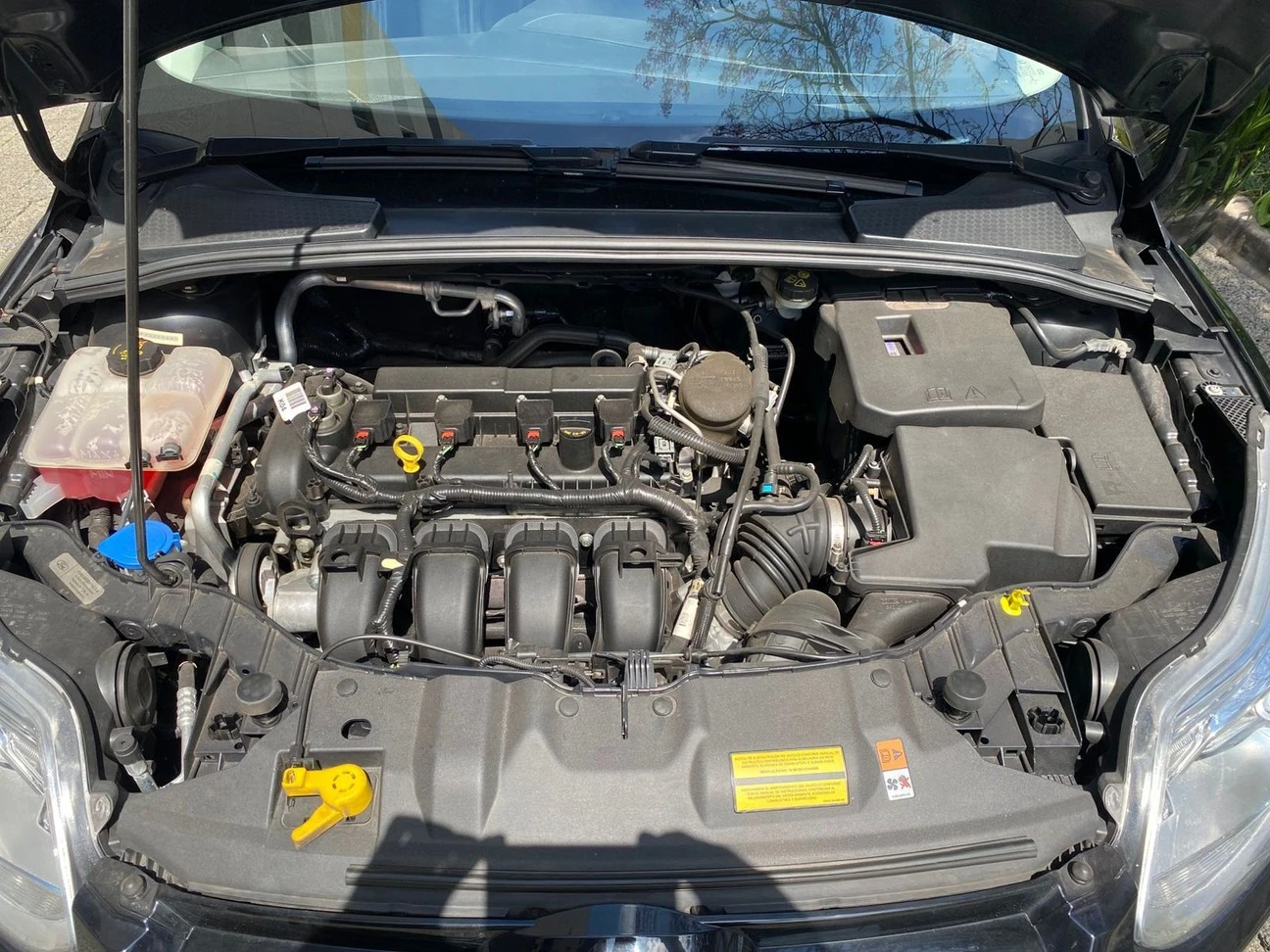 FORD FOCUS