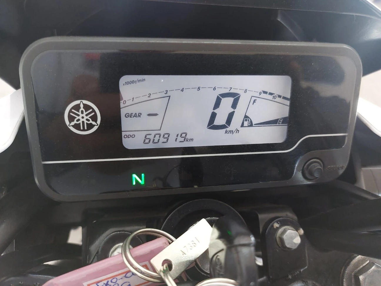YAMAHA FACTOR YBR 150 ED