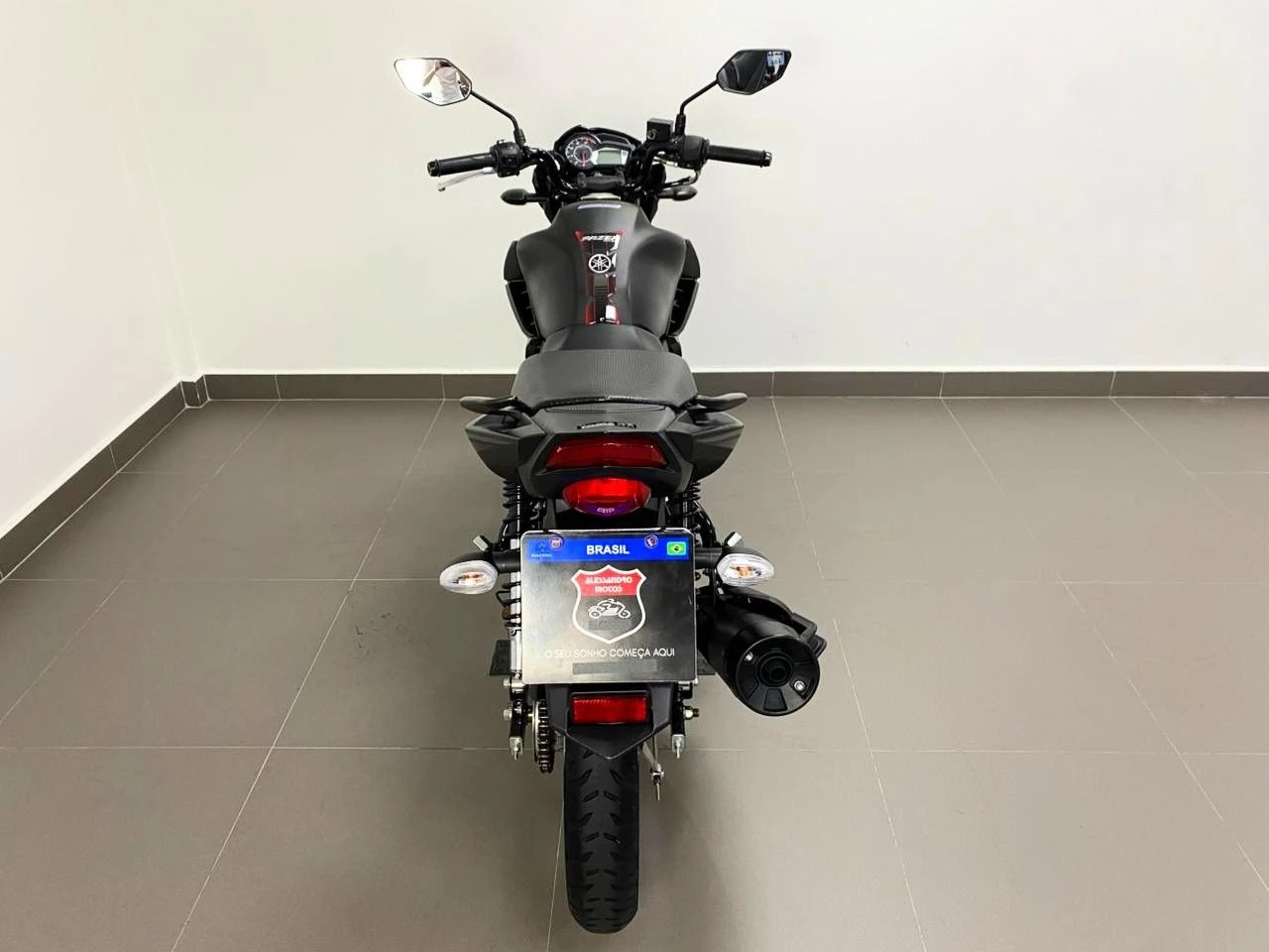 YAMAHA FAZER YS 150 SED