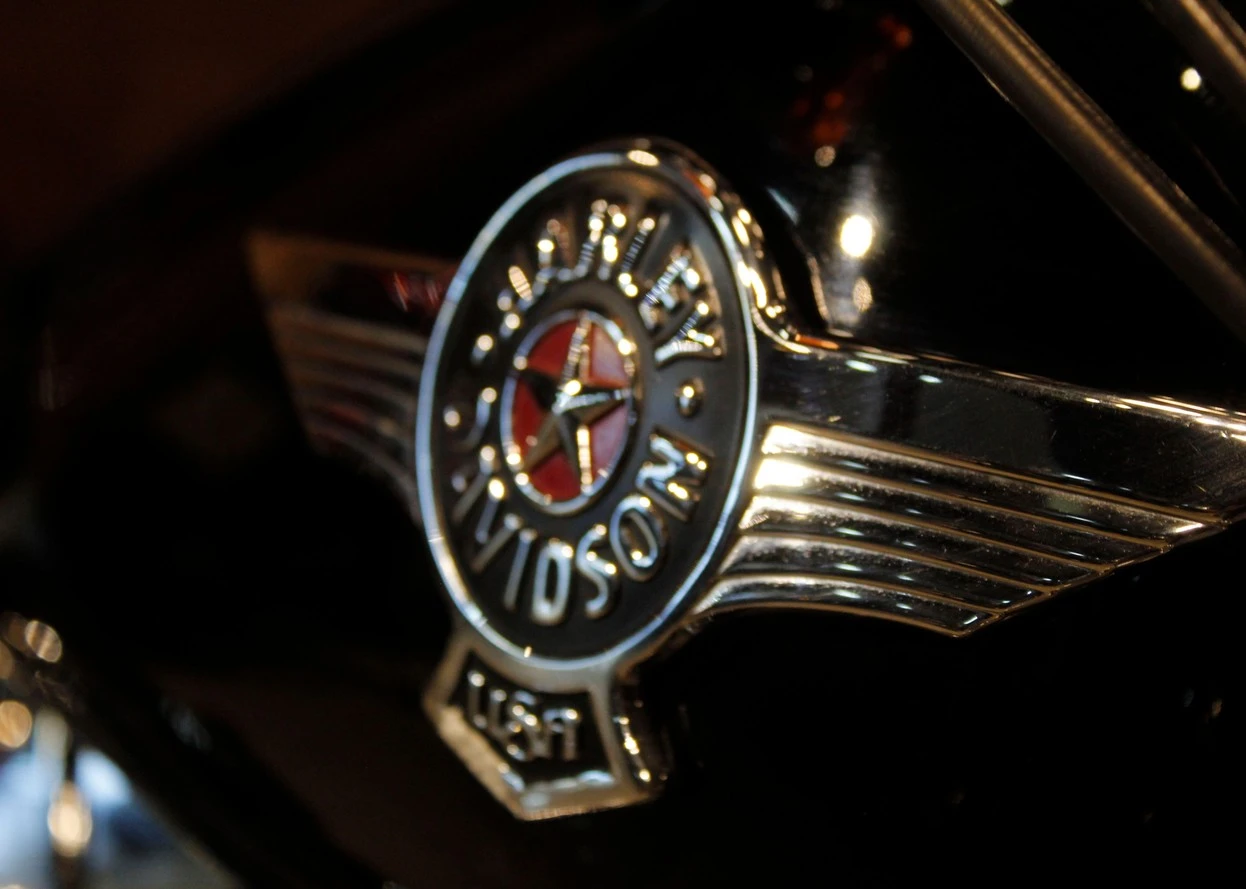 HARLEY-DAVIDSON SOFTAIL FAT BOY