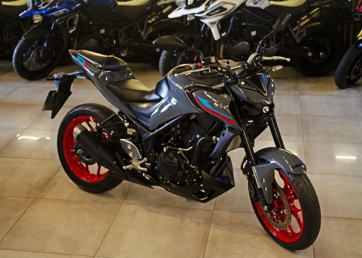 TRIUMPH TIGER 900 RALLY