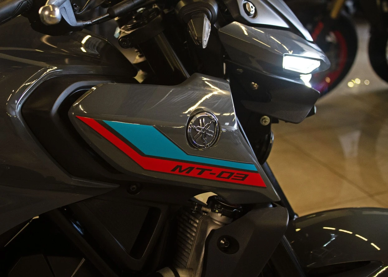 TRIUMPH TIGER 900 RALLY