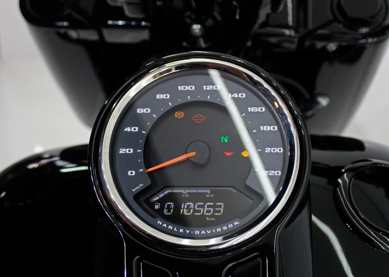 HARLEY-DAVIDSON SOFTAIL FAT BOY 114