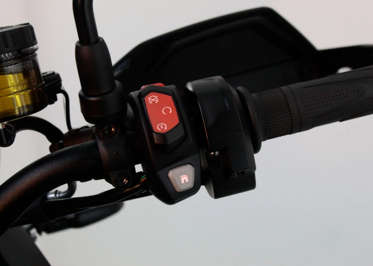 TRIUMPH TIGER 900 RALLY PRO