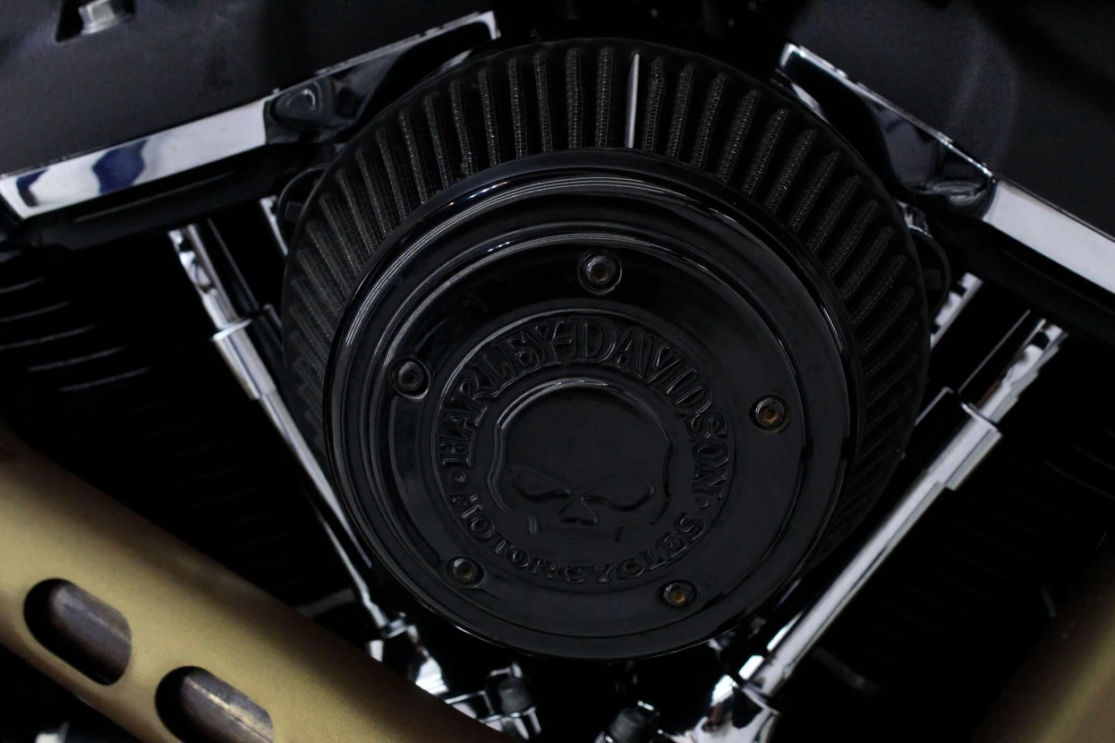 HARLEY-DAVIDSON SOFTAIL FAT BOB 107