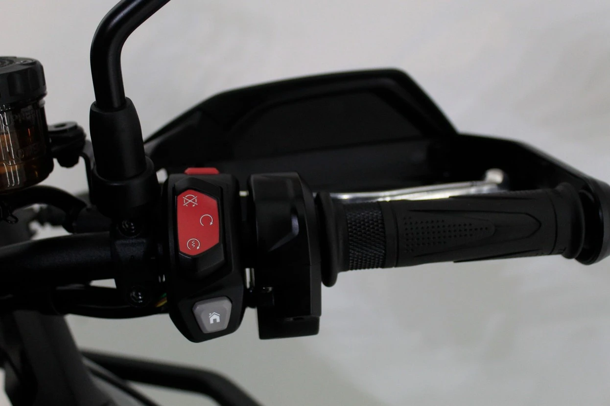 TRIUMPH TIGER 900 GT PRO