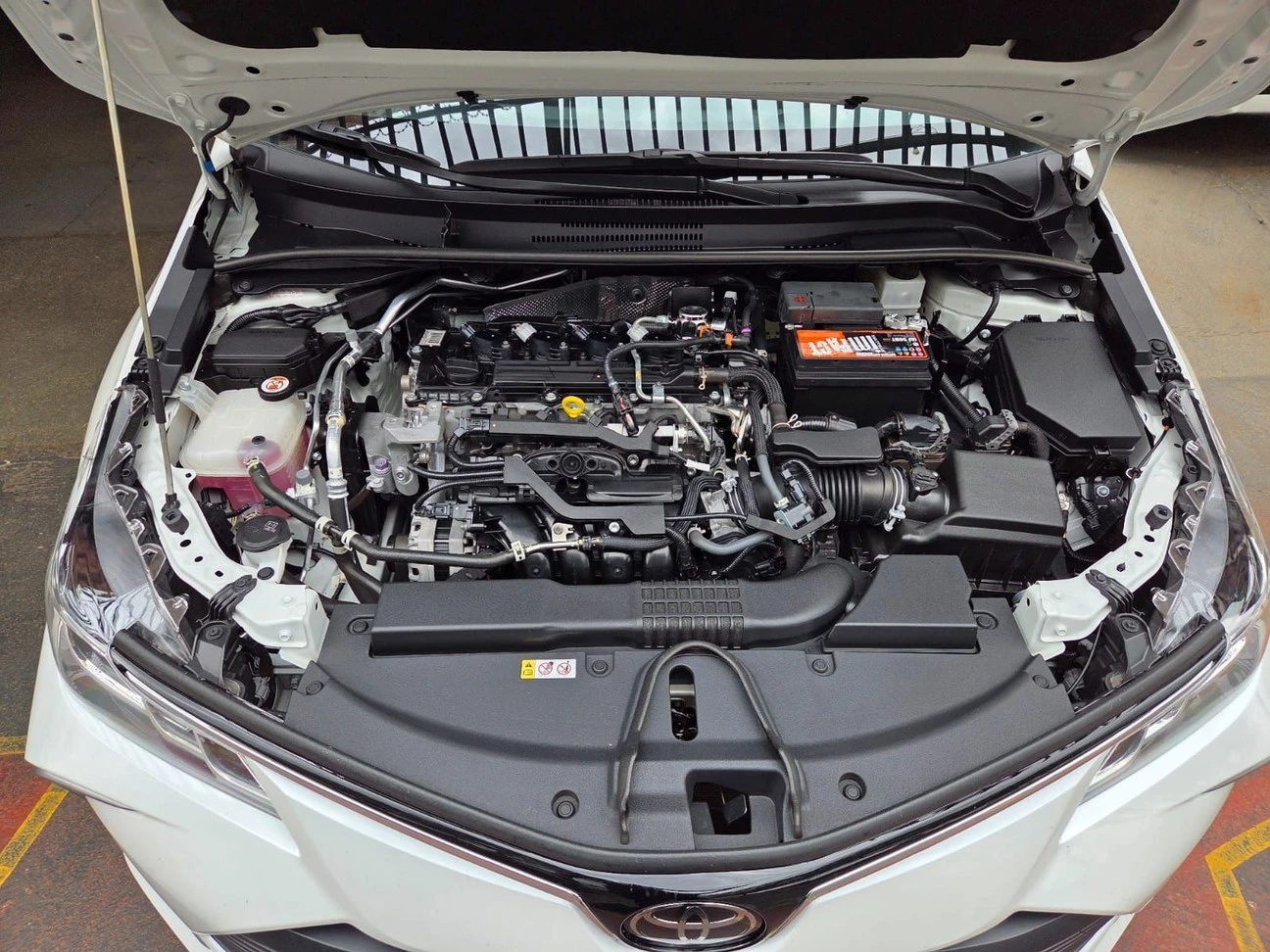 TOYOTA COROLLA