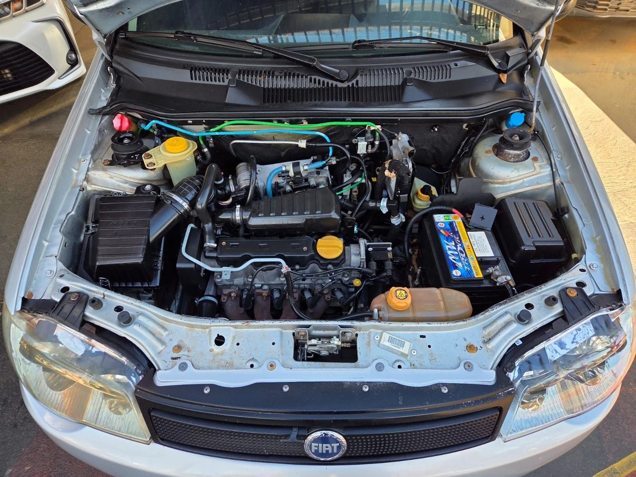 FIAT PALIO