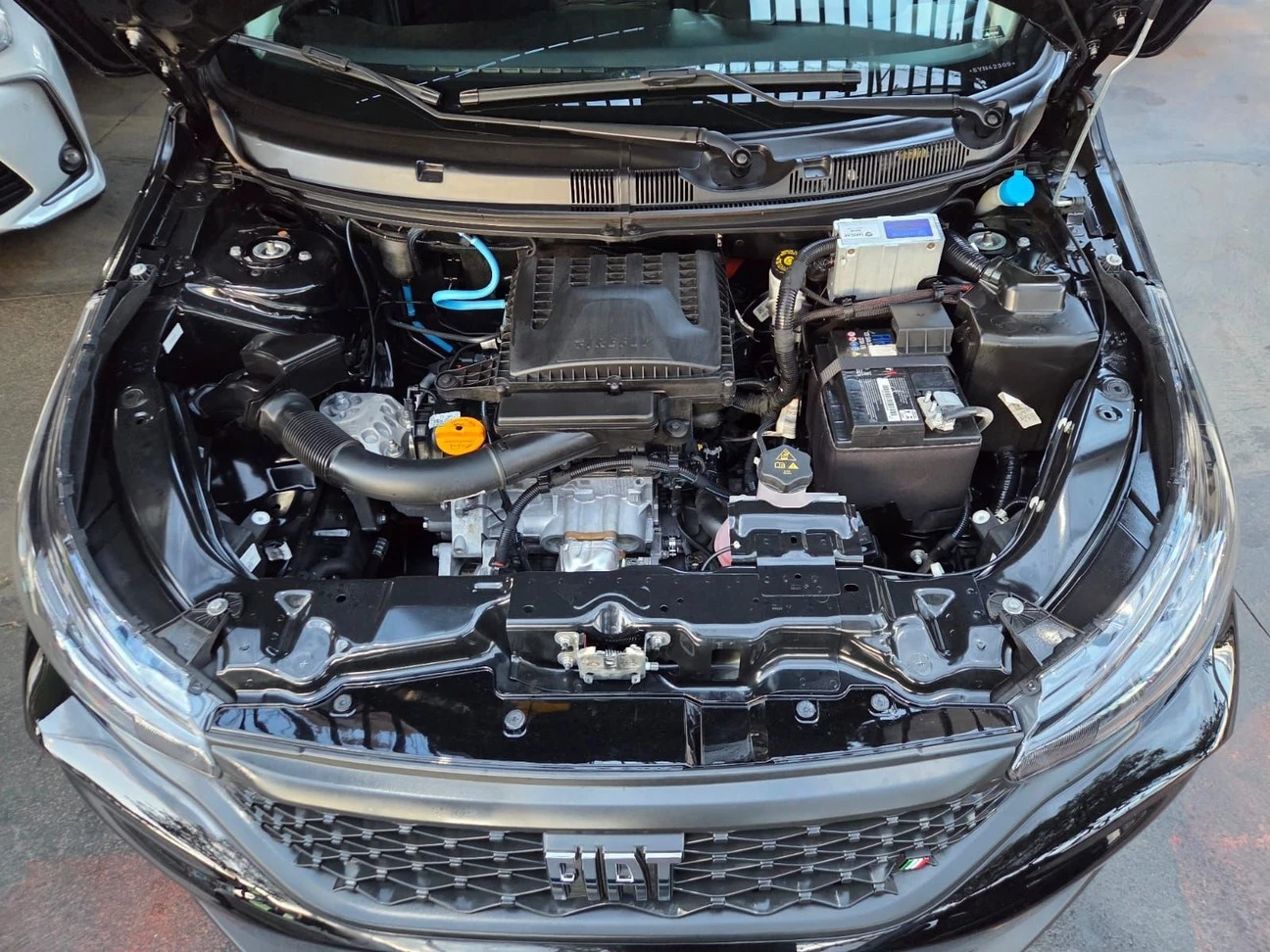 FIAT ARGO