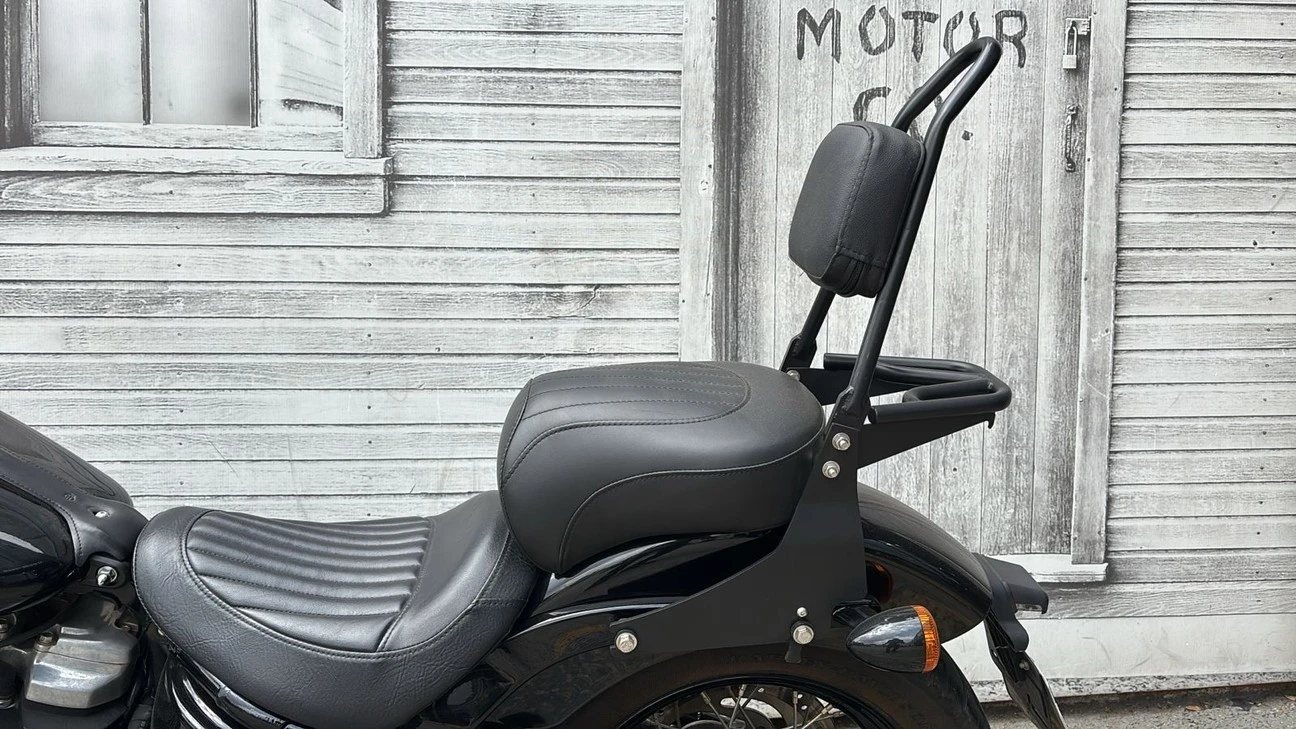 HARLEY-DAVIDSON SOFTAIL SLIM